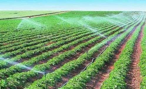 啊啊啊好大好舒服好湿啊啊宝贝的好大农田高 效节水灌溉
